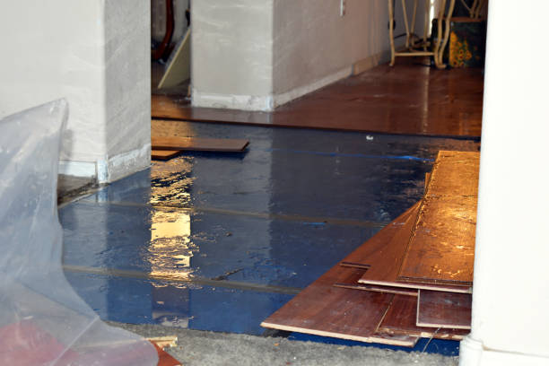 Professional Basement Flood Cleanup technician working in Monroe, WI